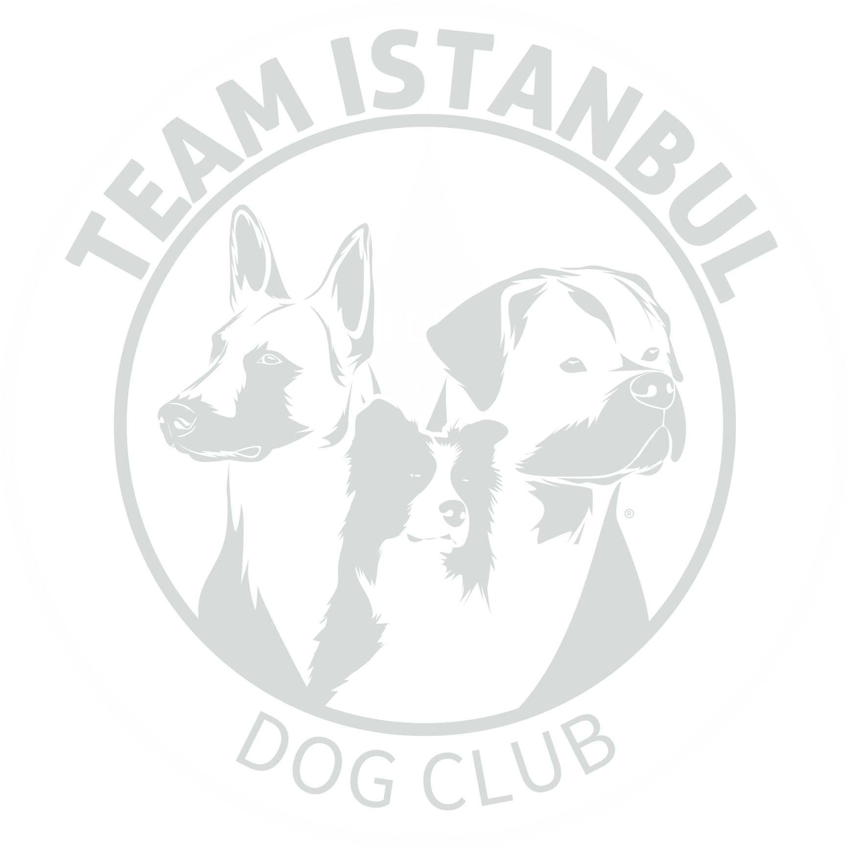 Team İstanbul Dog Club - Candostum Köpek Üretim Çiftliği